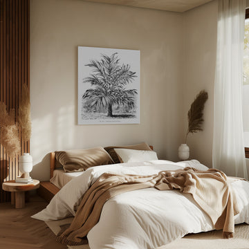 Vintage Palm Tree Drawing Ix | Canvas - Room Interior 2