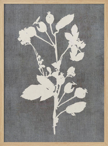 Botanical Rose Silhouette | Poster - Wood Frame Interior