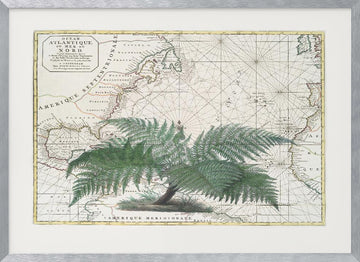 Vintage Map Fern Botanical | Poster - Silver Frame Interior