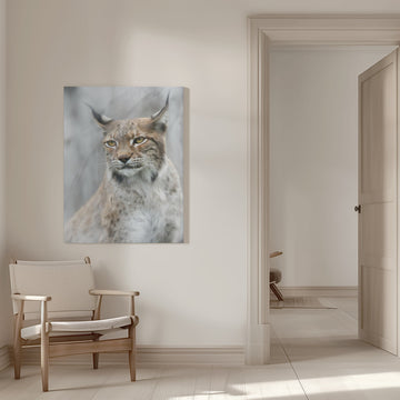 Intense Lynx Portrait | Canvas - Room Interior 1
