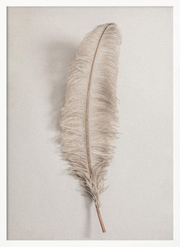 Delicate Light Feather | Poster - White Frame Interior