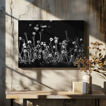 Night Flower Glow | Canvas - Room Interior 2