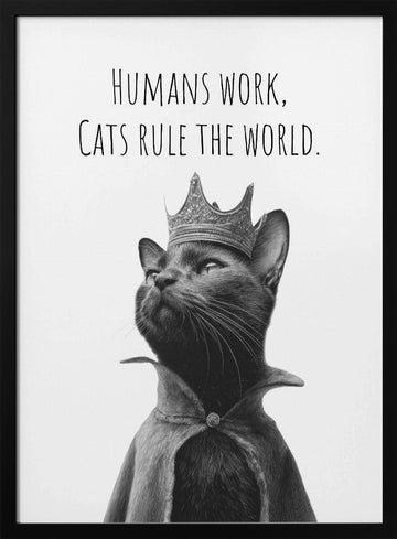 Majestic Cat King | Poster - Black Metal Frame Interior