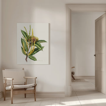 Sweet Chestnut Study | Canvas - Room Interior 1