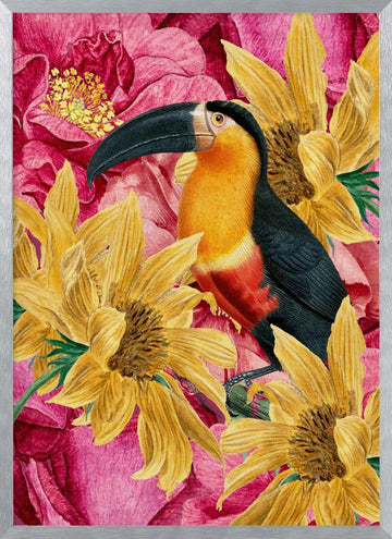 Vibrant Toucan and Flowers | Poster - Silver Frame Interior