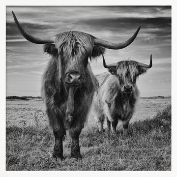 Highlands | Poster - White Frame Interior