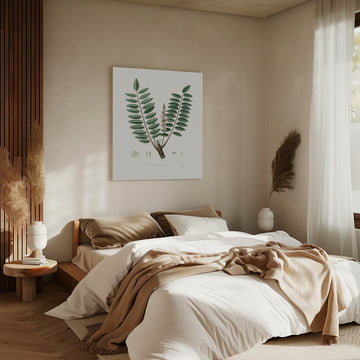 Boswellia Serrata Medical Botany | Canvas - Room Interior 2