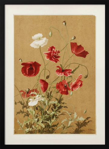 Poppies No. 3 By Ellen Thayer Fisher | Poster - Black Metal Frame Interior