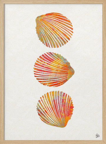 Vibrant Seashells | Poster - Wood Frame Interior