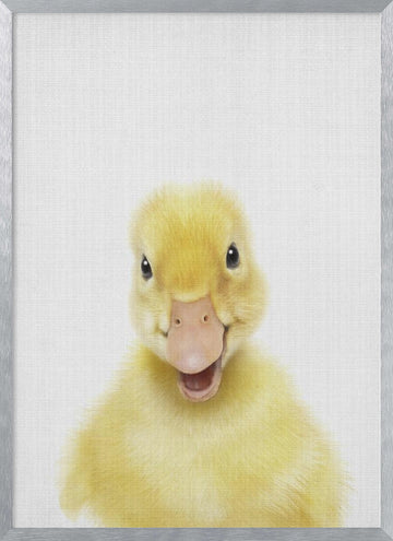 Smiling Baby Duck | Poster - Silver Frame Interior