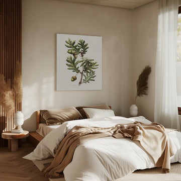 Pyrenean Oak Botanical Art | Canvas - Room Interior 2