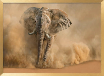 Majestic Elephant Dust Cloud | Poster - Gold Frame Interior