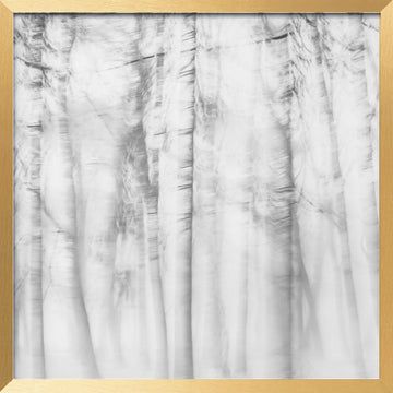 Ethereal Tree Lines | Poster - Gold Frame Interior