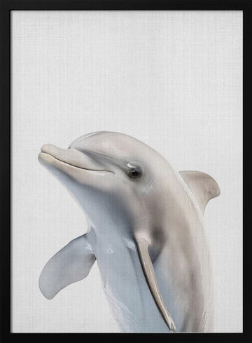 Friendly Dolphin Portrait | Poster - Black Metal Frame Interior