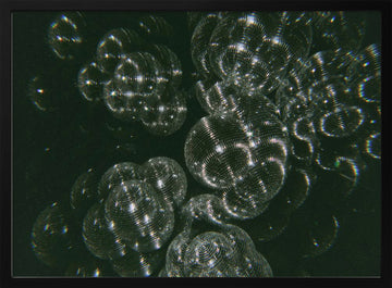 Sparkling Disco Balls | Poster - Black Metal Frame Interior
