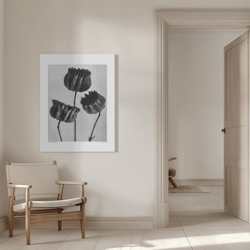 Abutilon (Lime Mallow | Canvas - Room Interior 1