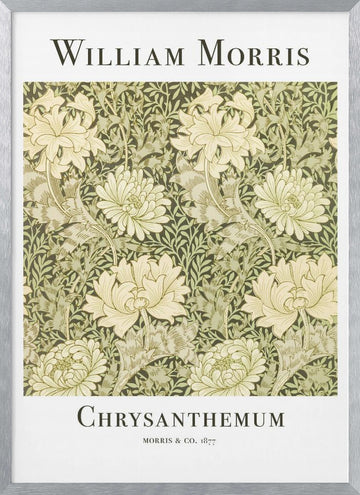 Chrysanthemum | Poster - Silver Frame Interior