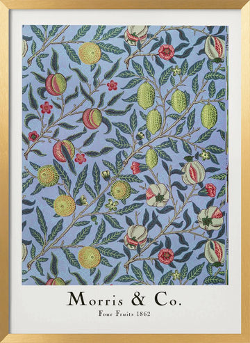 Four Fruits | Poster - Gold Frame Interior