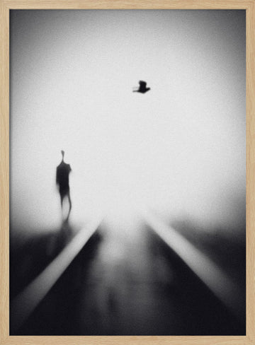 Solitary Man Flying Bird | Poster - Wood Frame Interior