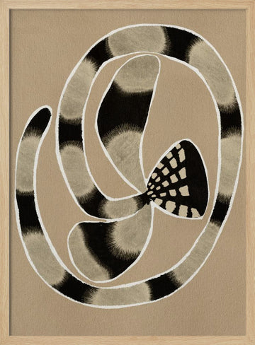 Delicate Bloom 5 | Poster - Wood Frame Interior