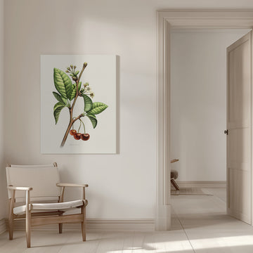 Sweet Cherry Botanical Branch | Canvas - Room Interior 1