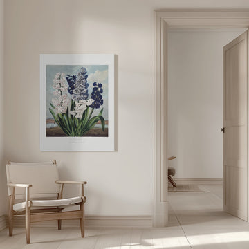 Hyacinths from The Temple of Flora (1807) | Canvas - Room Interior 1