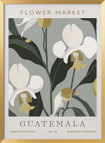 Tropical Guatemala Orchids | Poster - Gold Frame Interior