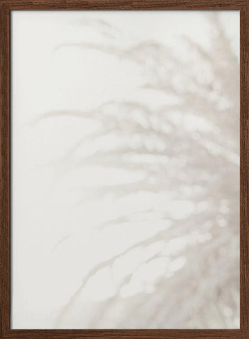 Soft Pampas Light | Poster - Walnut Frame Interior