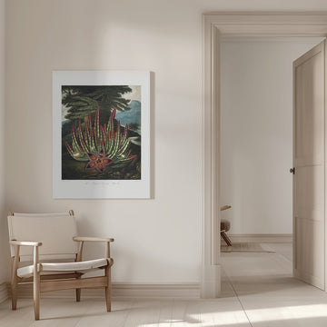 The Maggot–Bearing Stapelia from The Temple of Flora (1807) | Canvas - Room Interior 1