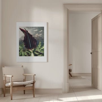 The Dragon Arum from The Temple of Flora (1807) | Canvas - Room Interior 1