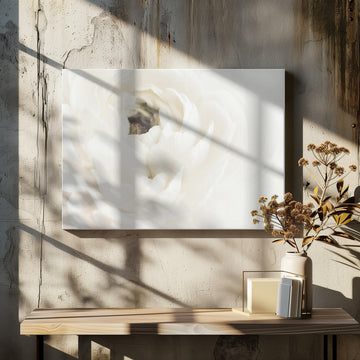 Soft White Bloom | Canvas - Canvas Interior