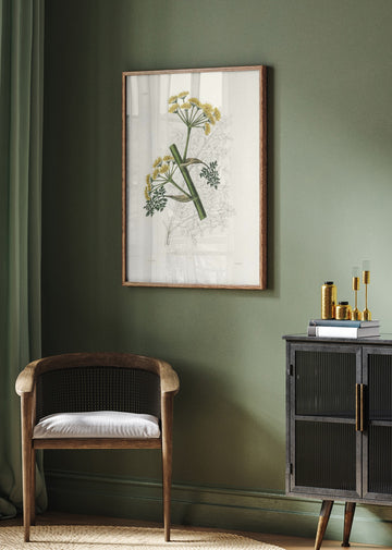Ferula Persica Medical Botany | Poster - Room Interior 2