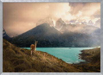 Patagonia Guanaco Peaks | Poster - Silver Frame Interior