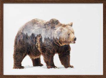 Forest Bear Spirit | Poster - Walnut Frame Interior