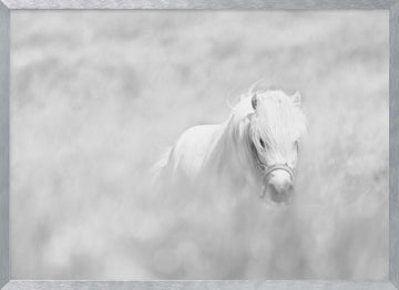 Dreamy White Pony | Poster - Silver Frame Interior