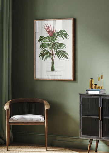 Kentiopsis | Poster - Room Interior 2