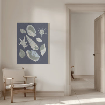 Seashells Collection | Canvas - Room Interior 1