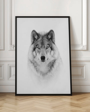 Majestic Wolf Gaze | Poster - Room Interior 1