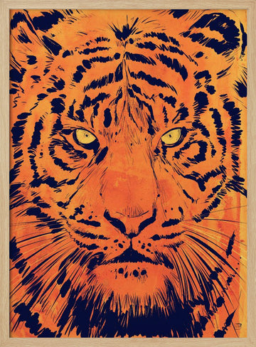 Intense Tiger Gaze | Poster - Wood Frame Interior
