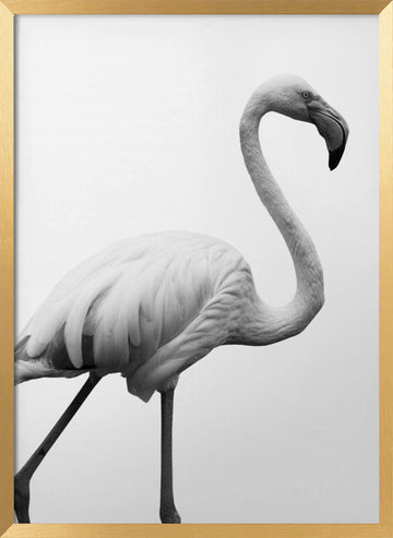 Graceful Silhouette | Poster - Gold Frame Interior
