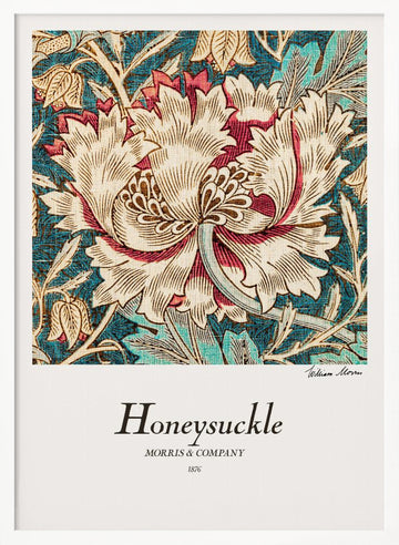 Honeysuckle | Poster - White Frame Interior