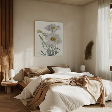 Matilija Poppy | Canvas - Room Interior 2