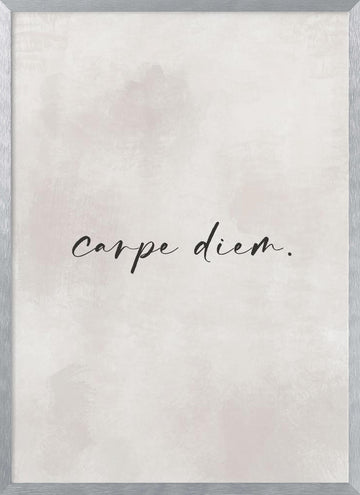 Seize the Moment | Poster - Silver Frame Interior