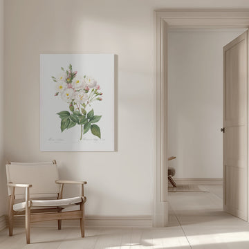 Rosa × Noisettiana, Les Roses (1817–1824) | Canvas - Room Interior 1