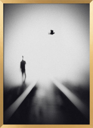 Solitary Man Flying Bird | Poster - Gold Frame Interior