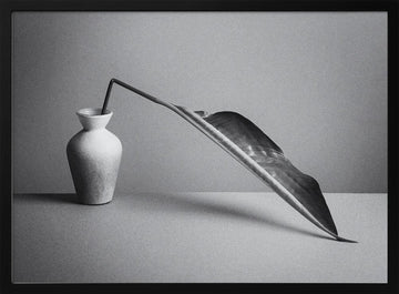 Monochrome Botanical Study | Poster - Black Metal Frame Interior