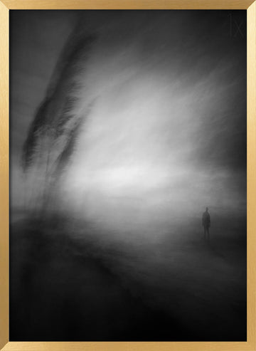 Lone Man Misty Horizon | Poster - Gold Frame Interior