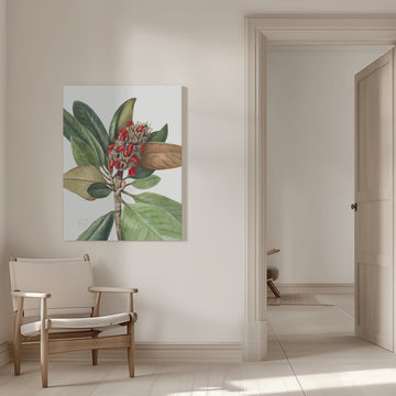 Southern Magnolia (1923) | Canvas - Room Interior 1