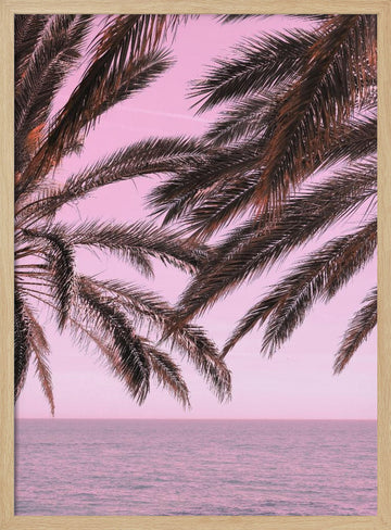 Pink Sky Tropical Palms | Poster - Wood Frame Interior