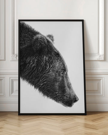 Grizzly Bear Profile | Poster - Room Interior 1